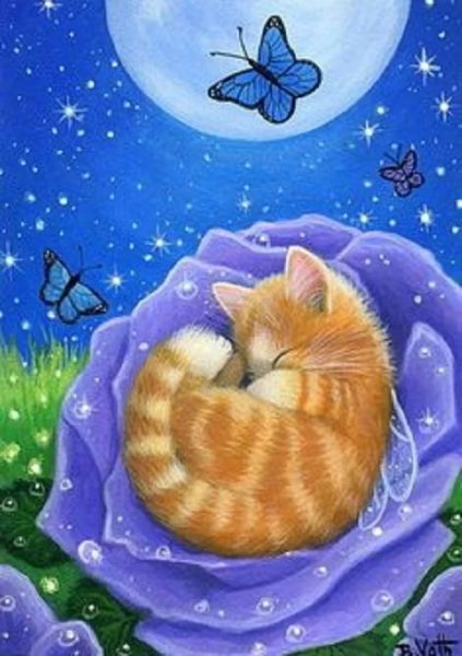 Добрых снов котенок