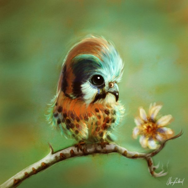 Красивые милые птички арт