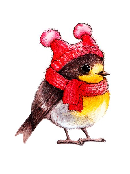 Птичка в шапочке