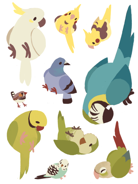 Стилизованный попугай