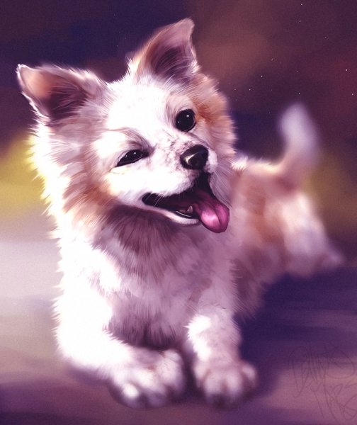 Милые собачки