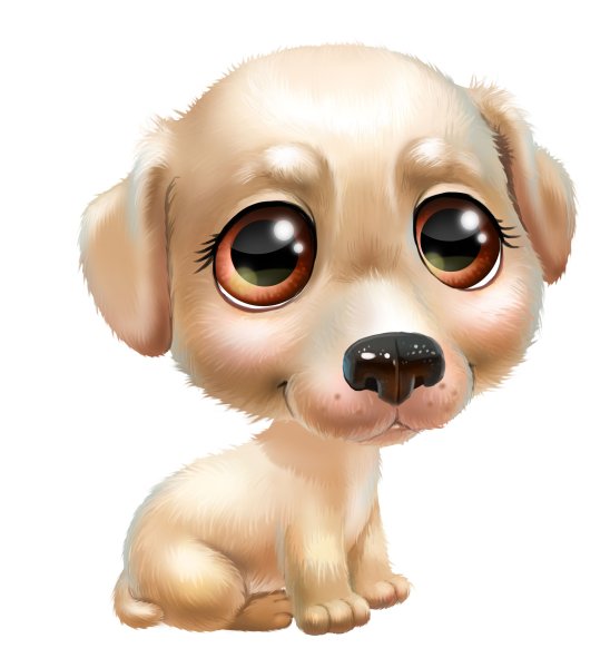 Милые собачки