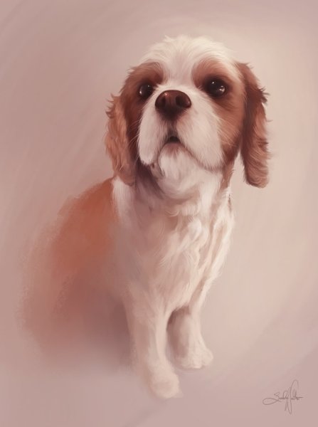 Милые собачки арты