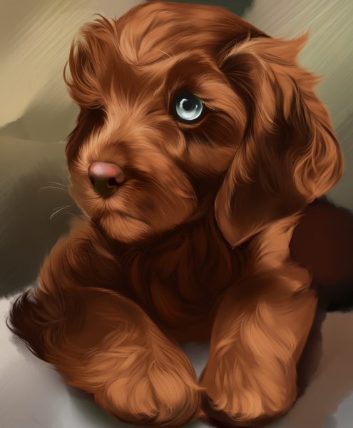 Красивые арты собак