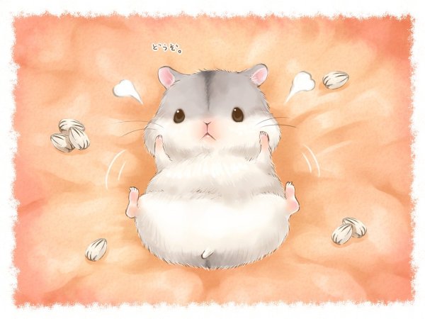 Аниме хомяк