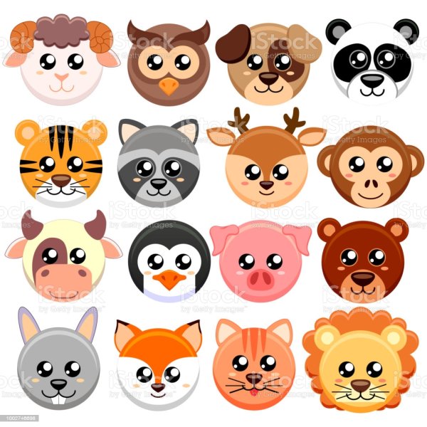 Круглые мордочки животных