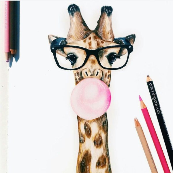 Жираф в очках