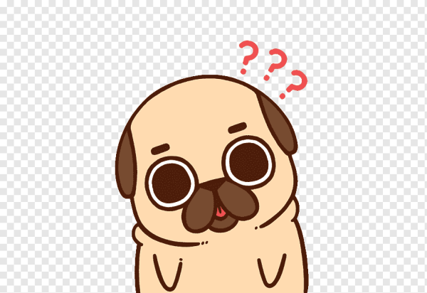 Кавай Мопс Puglie