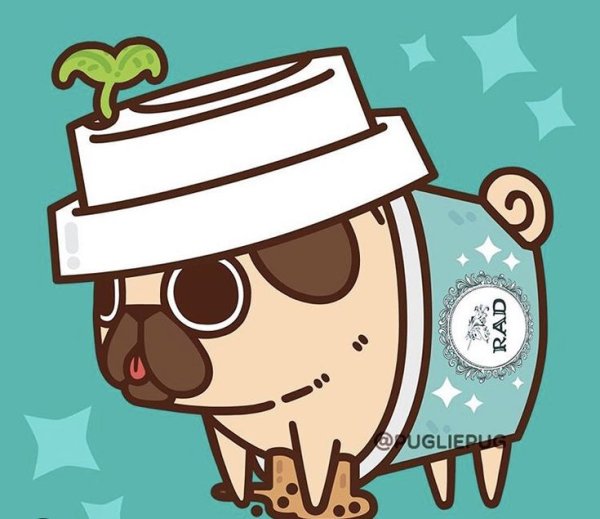 Puglie Pug Стикеры