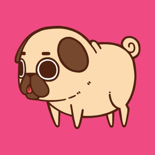 Кавай Мопс Puglie