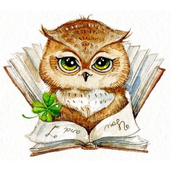 Сова с книжкой