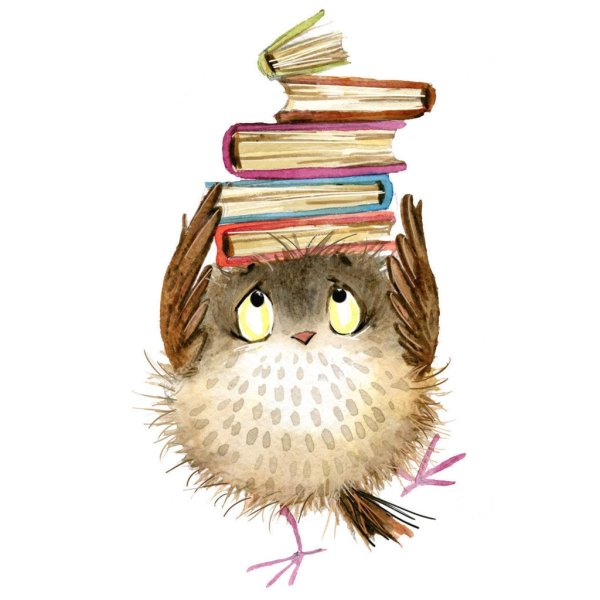 Сова с книгой