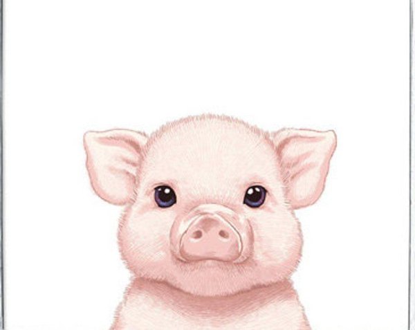 Милый поросенок арт