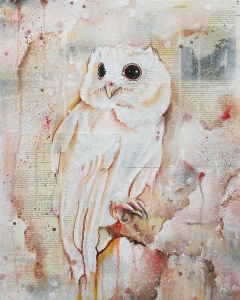 Эстетичные Совы