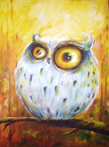Сова красками