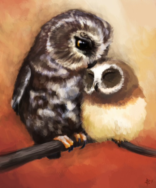 Милые нарисованные Совы