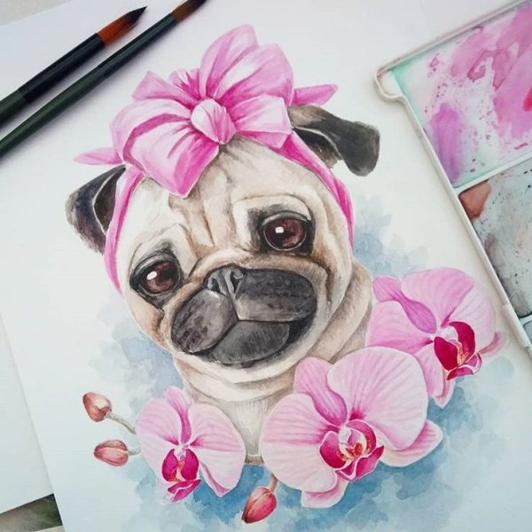 Мопс акварелью