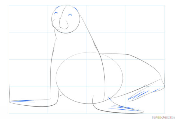 Рисование тюленя