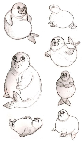 Тюлень схематично