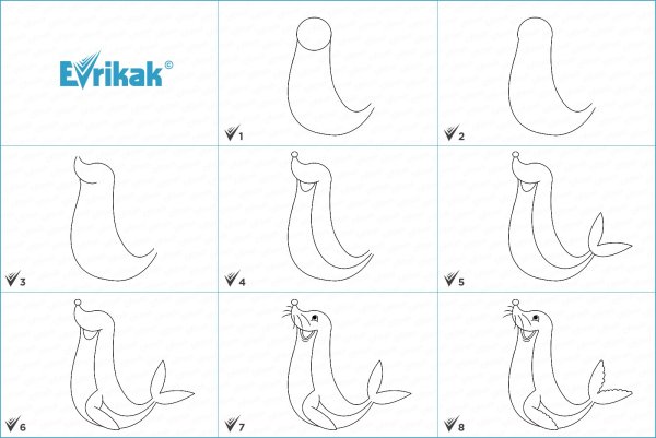 Как нарисовать тюленяика поэтапно