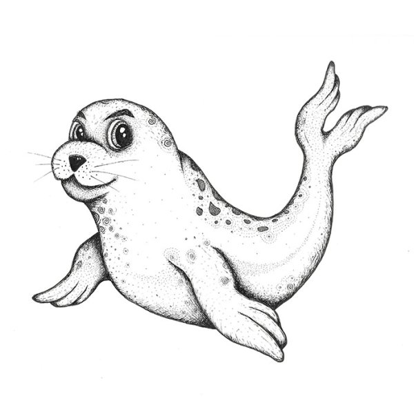 Нерпочка рисунок