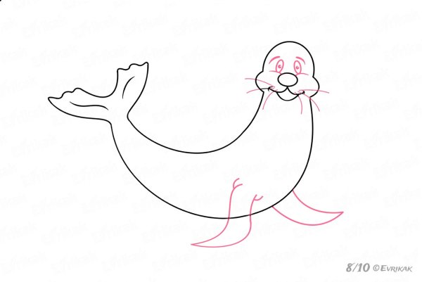 Морские котики рисование с детьми