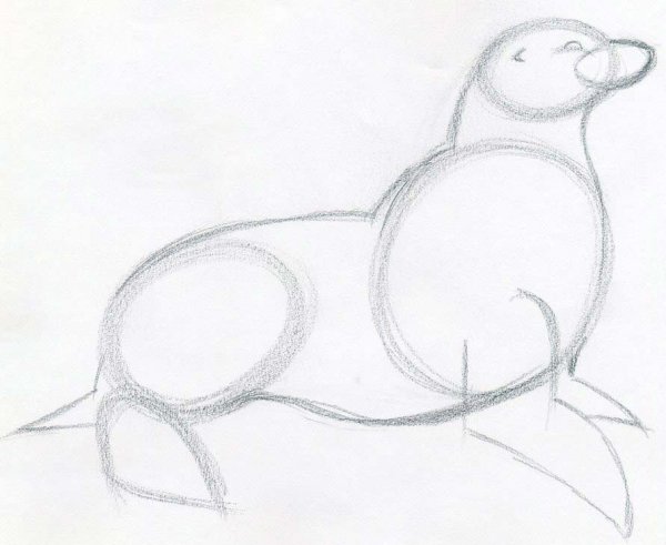 Тюлень поэтапное рисование