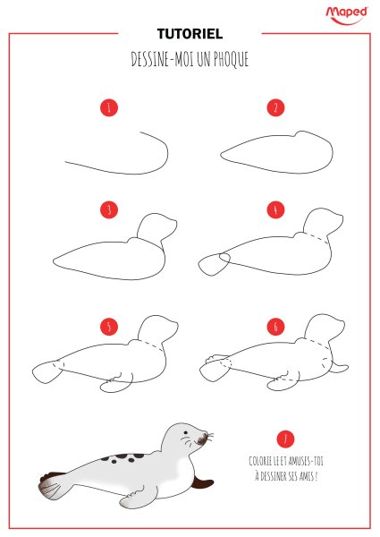 Тюлень поэтапное рисование