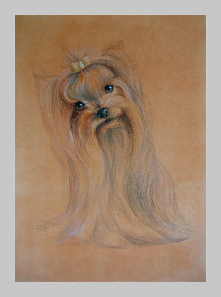 Собака пастелью сухой