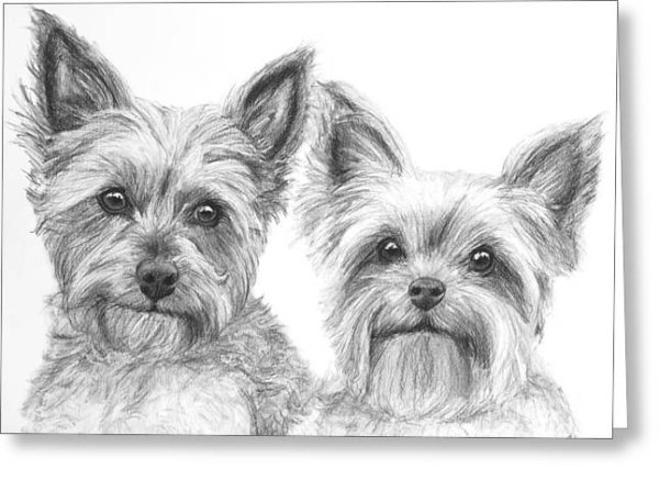 Йорк раскраска