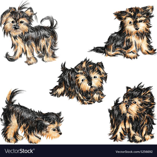 Наклейка Йоркширский терьер