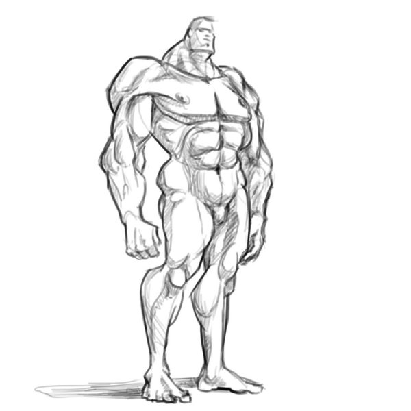 Наброски качков