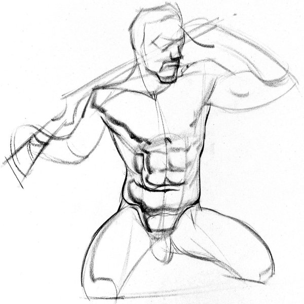 Мускулы нарисованные