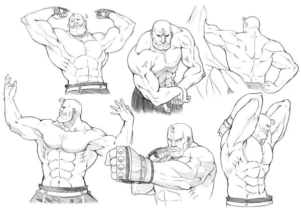 Мускулы референс для рисования