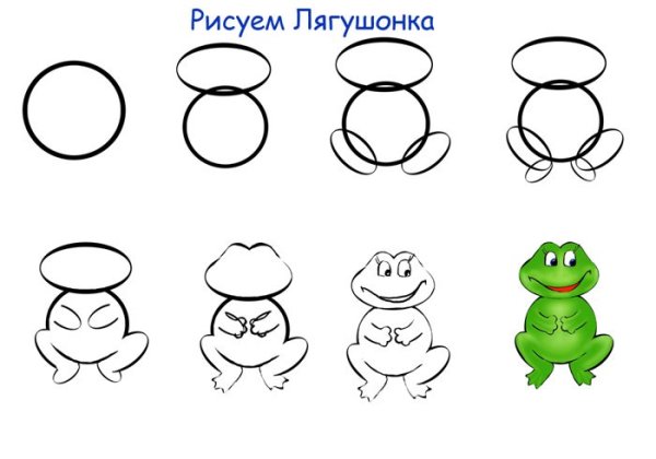 Как рисовать лягушку поэтапно