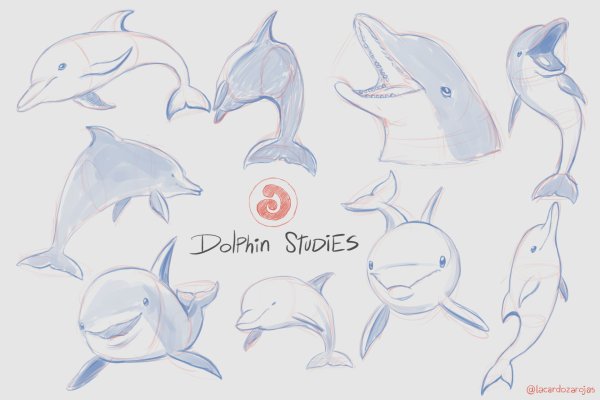 Дельфин референс