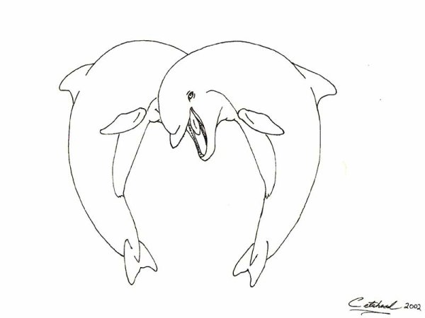 Раскраски сердечки дельфины