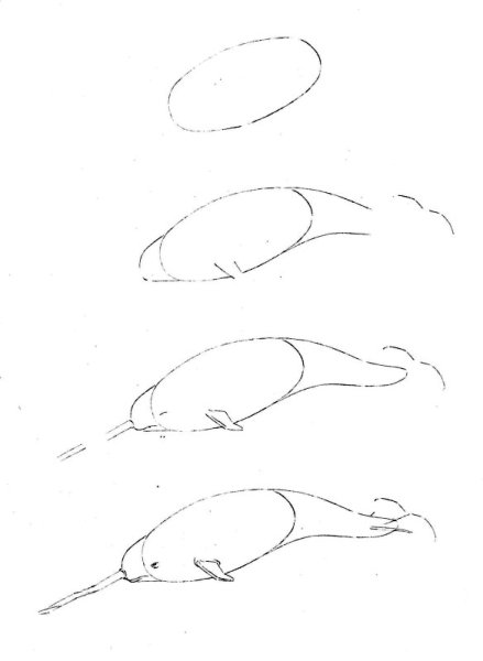 Дельфин пошаговое рисование