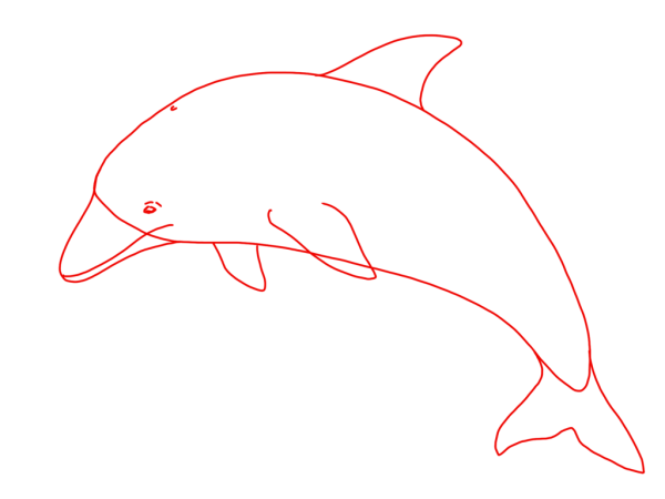 Поэтапное рисование дельфина