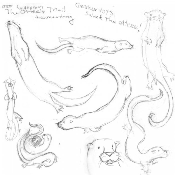 Рисуем выдру