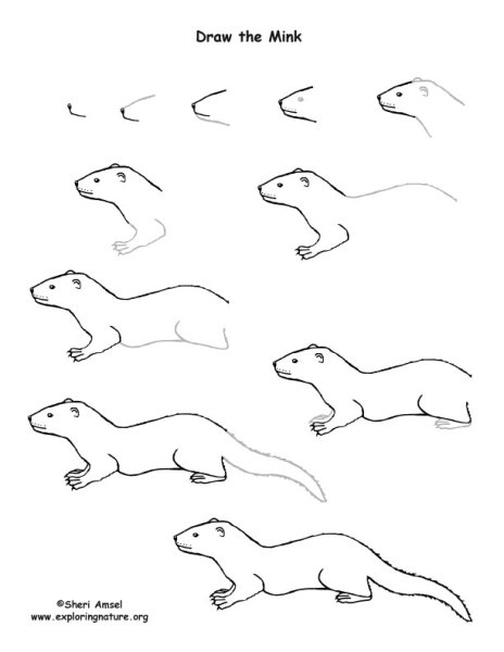 Норка раскраска для детей