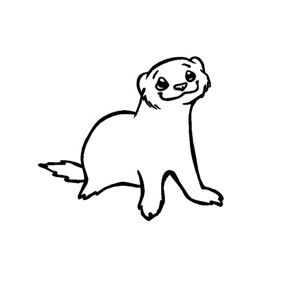 Хорек рисунок для срисовки легкие