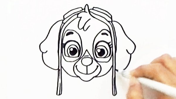 Скай Щенячий патруль для срисовки