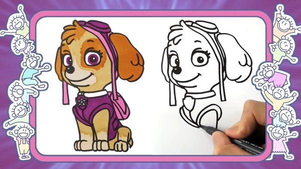 Щенячий патруль Скай рисовать