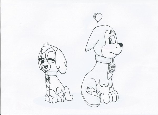 Раскраска Щенячий патруль гонщик и Скай любовь