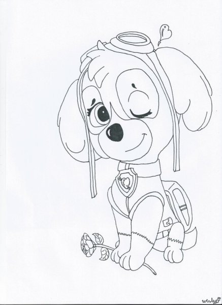 Расукрашка щеняче патрул скае