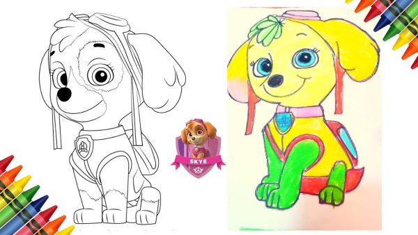 Рисунок Скай из пластилина