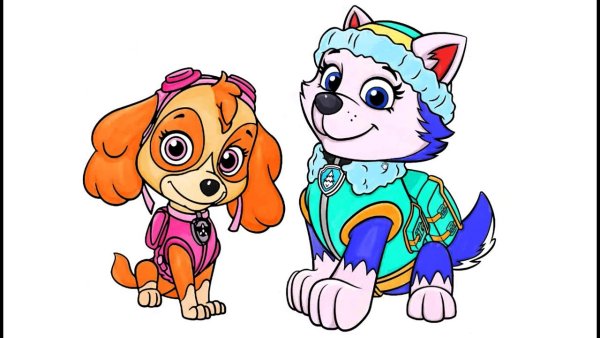 Нарисовать Щенячий патруль Скай