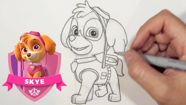 Нарисовать Щенячий патруль Скай