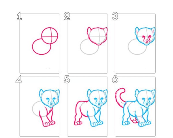 Как нарисовать гепарда поэтапно